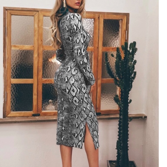 Snake Print Long Sleeve Tie Front Dress - Picture 2 of 4